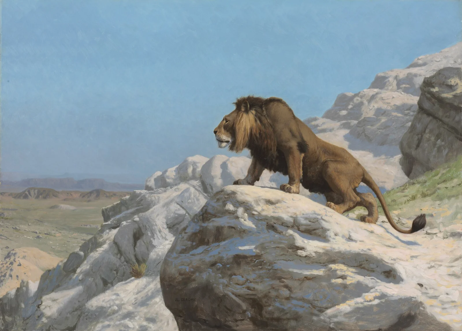 Lion aux aguets sur un promontoire désertique