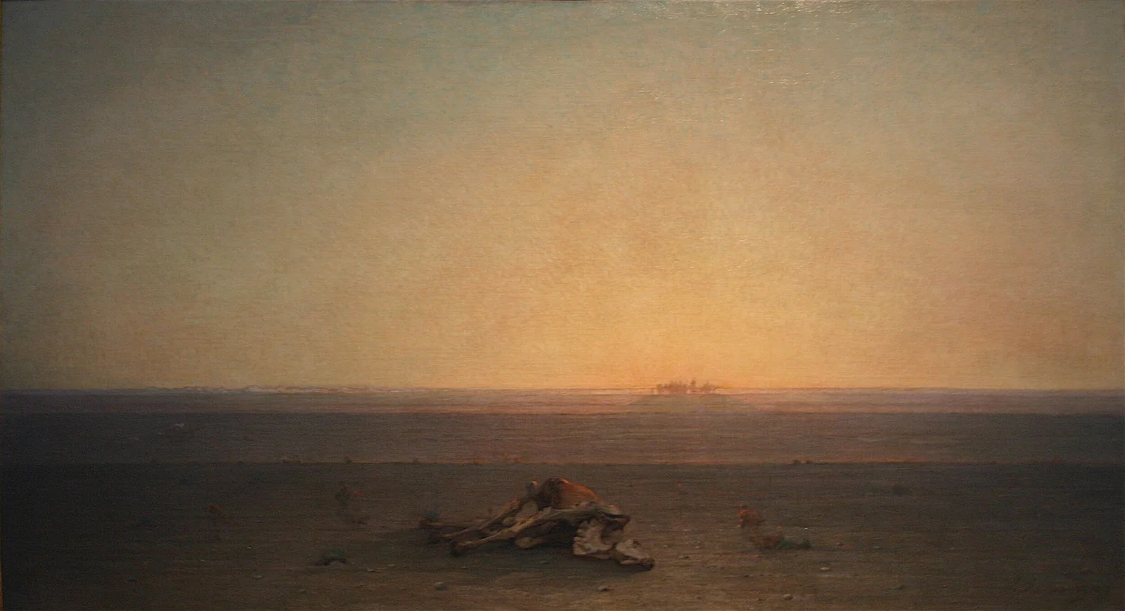 Paysage désertique du Sahara, étendue de pierres et d'ossements